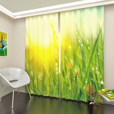 Утренняя роса