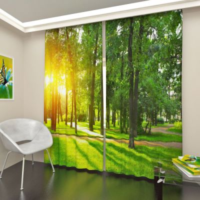 Утро в парке