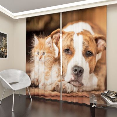 Верные друзья