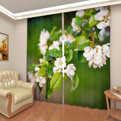 Ветвь яблони