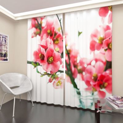 Вишня цветет