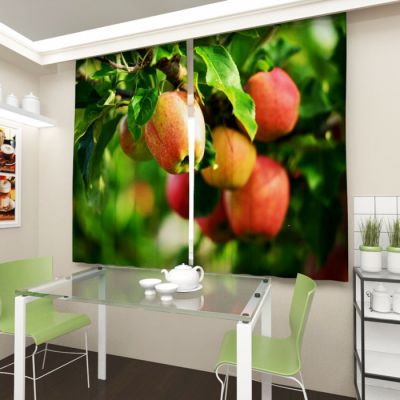 Яблоки на ветке