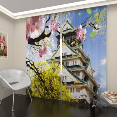 Замок в Японии