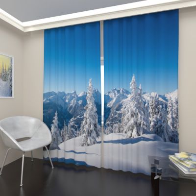 Зимний лес 1